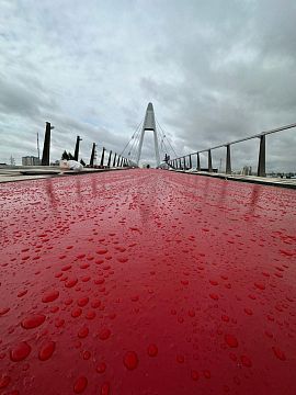 Вантовый мост