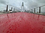 Вантовый мост